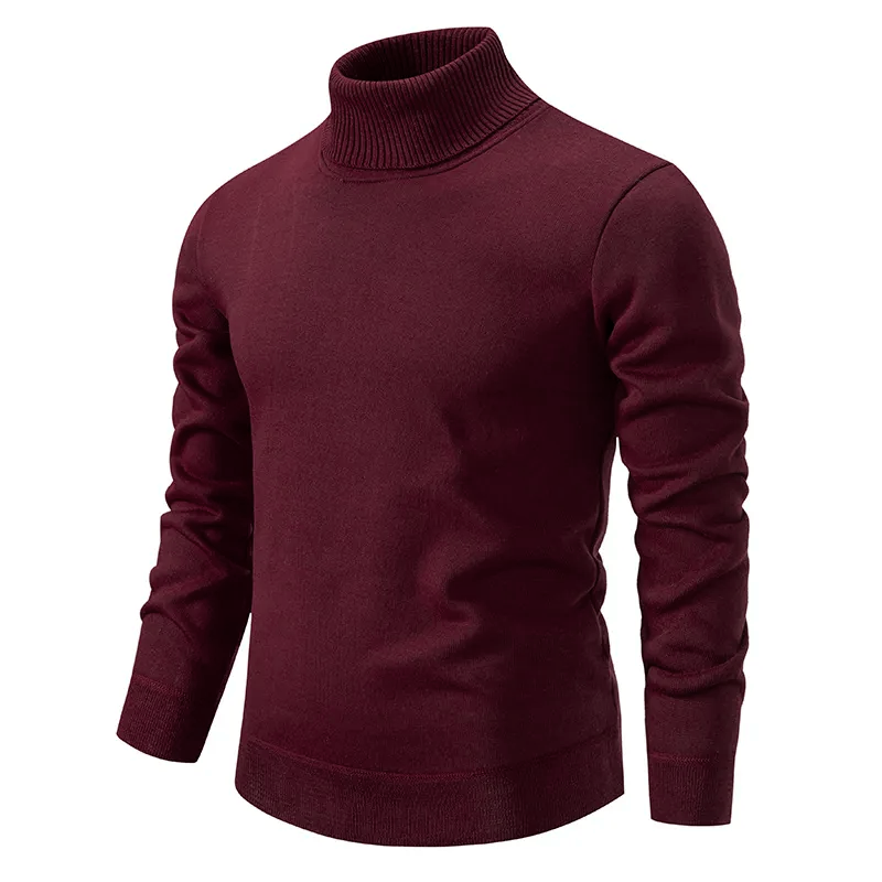 MAURICE - pull col roulé slim fit pour homme